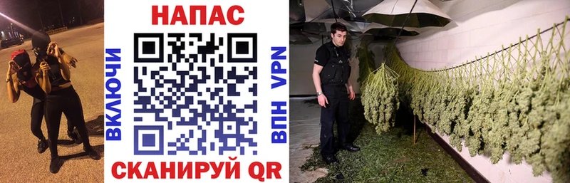 kraken вход  дарнет шоп  Западная Двина  МАРИХУАНА план 